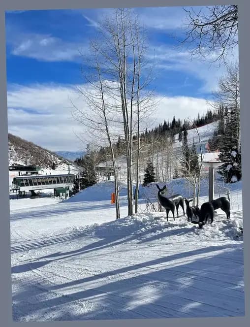 Park City, Utah view 3