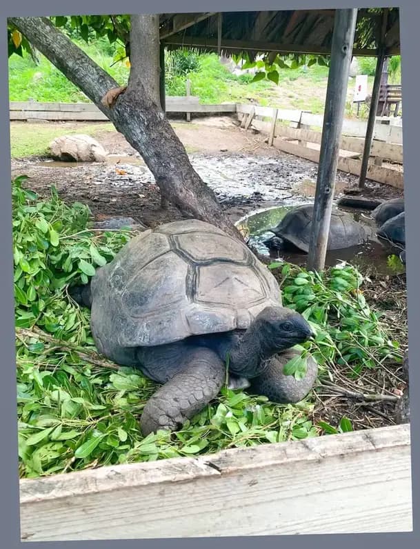 Seychelles honeymoon destination